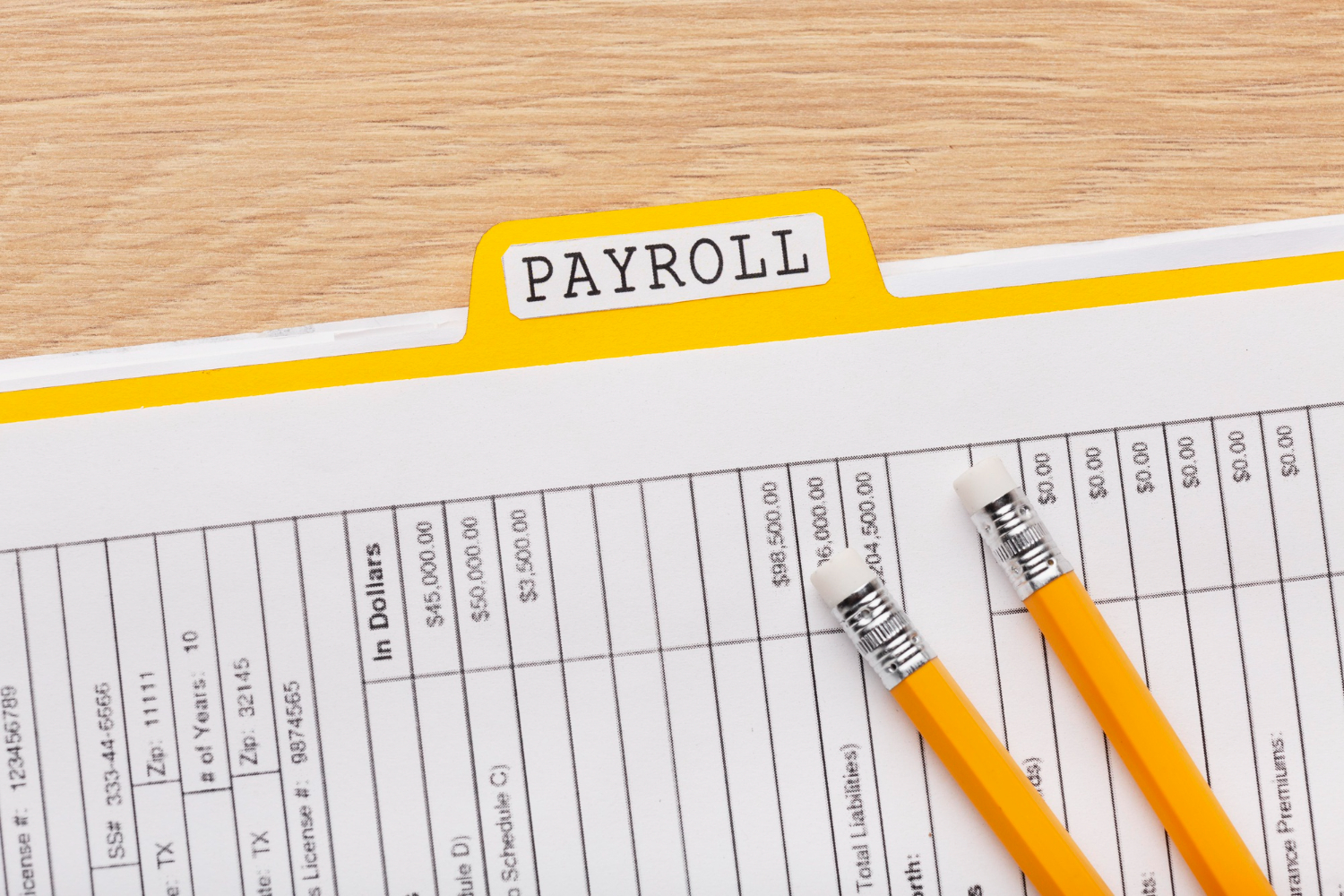 Payroll Services